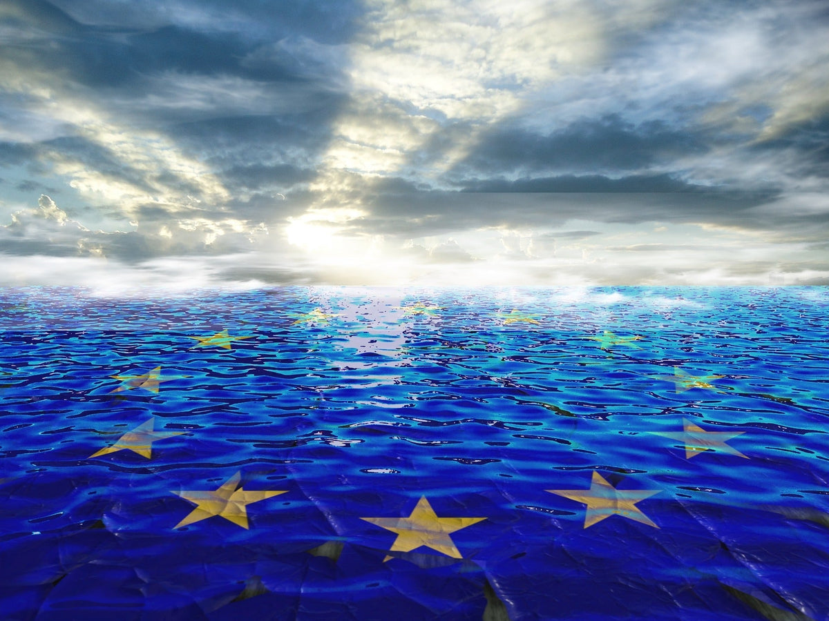 Maglieria sostenibile in Europa: trend e consumatori - Lanaioli Maglieria Filiera Corta Sostenibile & Filati Naturali