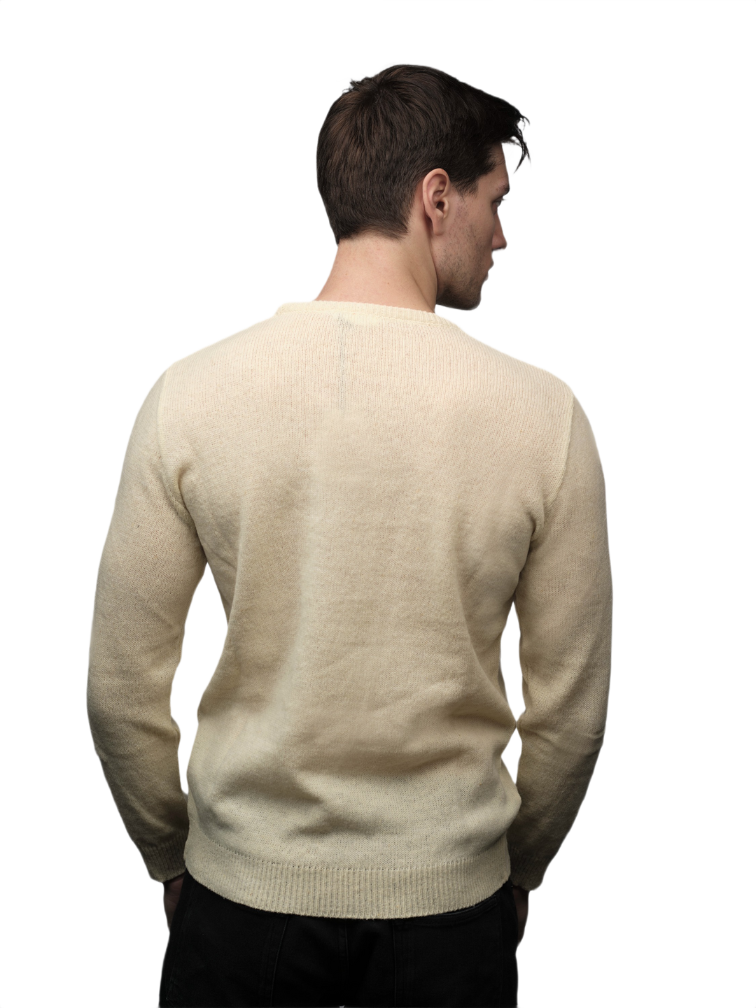 Pull homme laine mérinos col rond filière courte